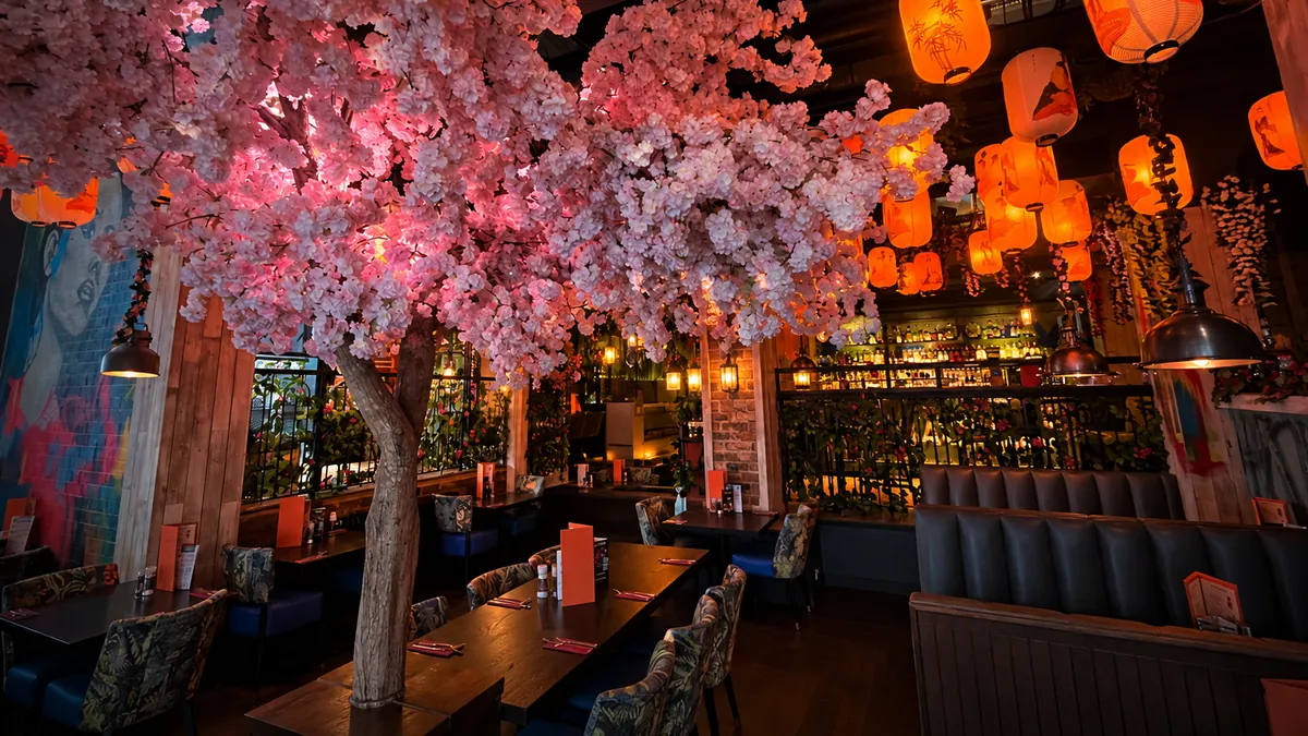 Warm-lit dining room under the pink blossom tree